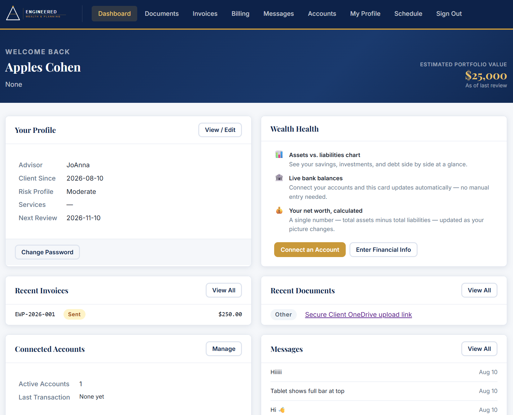 Client portal dashboard preview